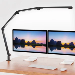 LED Clamp Desk Lamp