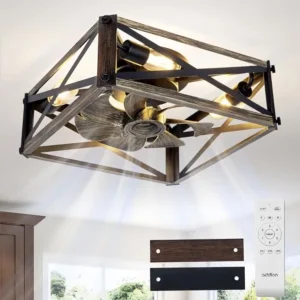 Caged Ceiling Fans with Lights and Remote